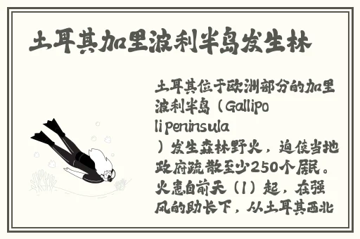 国产HDXXX天美传媒女无套